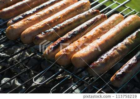 Spicy sausages grilling on portable barbecue on summer picnic. Outdoors. . Close up. Spicy sausages grilling on portable barbecue on summer picnic. Outdoors. . Close up. 113758219