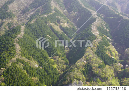 上北山村滑子溪谷的爬龍 113758438