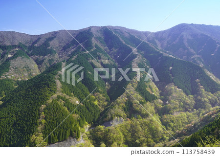 上北山村滑子溪谷的爬龍 113758439