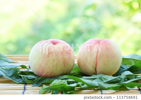 Peaches harvested on green natural background 2 pieces 113758691