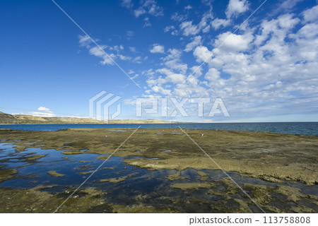 Coastal landscape with cliffs in Peninsula Valdes, World Heritage Site, Patagonia Argentina Coastal landscape with cliffs in Peninsula Valdes, World Heritage Site, Patagonia Argentina 113758808
