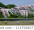 A large amount of carp streamers 113758927