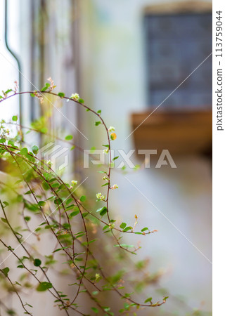 conceptual image photo 113759044