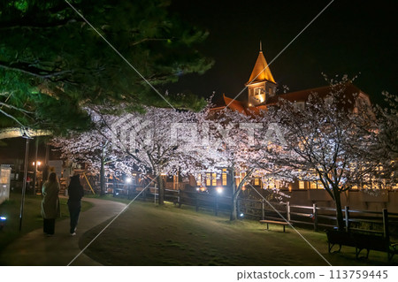 People enjoy sakura blossom and Siebold no Yu light up, Ureshino People enjoy sakura blossom and Siebold no Yu light up, Ureshino 113759445