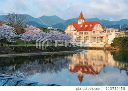 Siebold no Yu and sakura blossom along river at sunrise, Ureshino 113759450