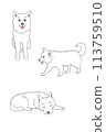 Sleeping white dog, walking white dog, sitting white dog 113759510