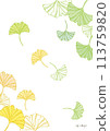 Ginkgo leaf vector illustration 113759820