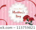 mother's day red carnation background 113759821