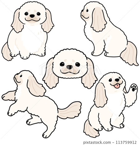 簡單可愛的白色哈巴狗插畫集，以主線為主線 113759912
