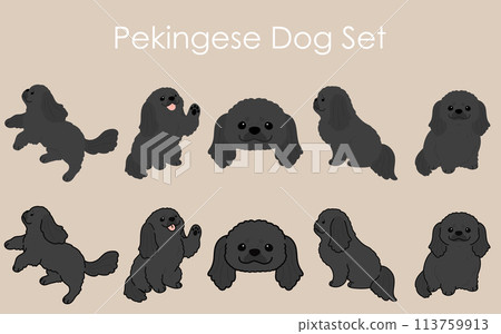 Simple and cute black Pekingese illustration set 113759913