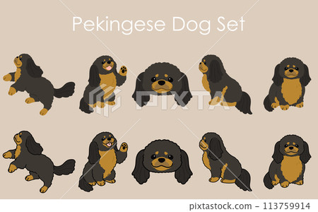 簡單可愛的黑色和棕褐色北京犬插圖集 113759914