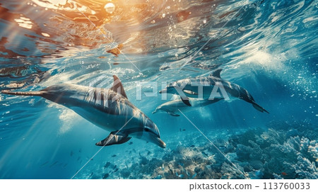 Three electric blue dolphins swim near a coral reef in the underwater world 113760033