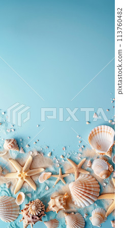 Various seashells and sand on a blue background 113760482