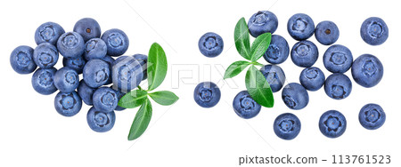 fresh ripe blueberry with leaves isolated on white background. Top view. Flat lay pattern fresh ripe blueberry with leaves isolated on white background. Top view. Flat lay pattern 113761523
