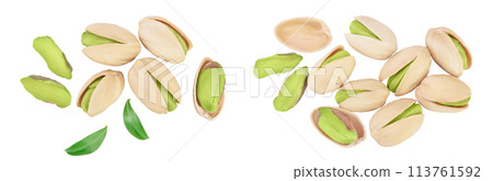 pistachio isolated on white background with full depth of field. Top view. Flat lay 113761592