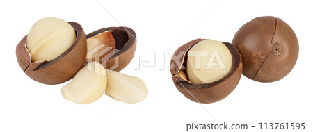 macadamia nuts isolated on white background with full depth of field 113761595