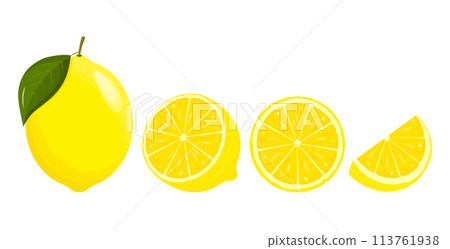 Lemon slices. Fresh citrus, half sliced lemons. Lemon is a fruit that is sour and has high vitamin C. Flat style. Vector illustration Lemon slices. Fresh citrus, half sliced lemons. Lemon is a fruit that is sour and has high vitamin C. Flat style. Vector illustration 113761938