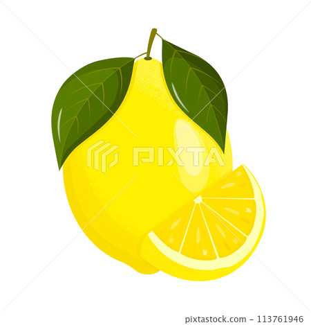 Lemon slices. Fresh citrus, half sliced lemons. Lemon is a fruit that is sour and has high vitamin C. Flat style. Vector illustration Lemon slices. Fresh citrus, half sliced lemons. Lemon is a fruit that is sour and has high vitamin C. Flat style. Vector illustration 113761946