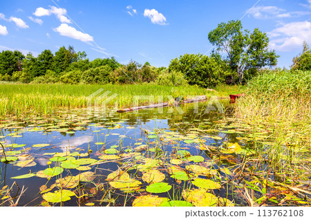 Summer tranquil landscape with old wooden boat and water plants Summer tranquil landscape with old wooden boat and water plants 113762108