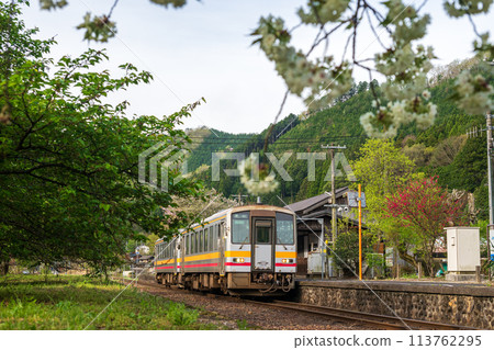 Beautiful spring scenery at Iwayama Station in Niimi city, Okayama prefecture, Japan 113762295