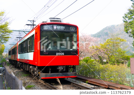 箱根登山鐵道2000型強羅～箱根湯本 113762379