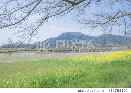 Niigata Kamisekigata Park (Niigata City) Niigata Kamisekigata Park (Niigata City) 113763101