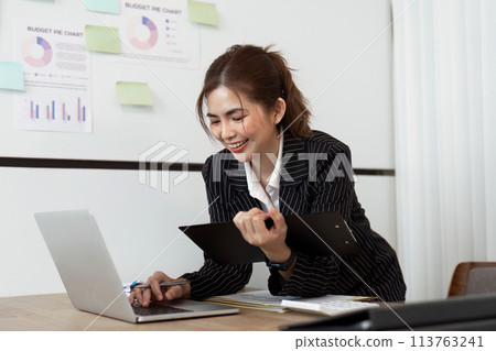 Portrait of a cheerful mature businesswoman working on laptop at office 113763241