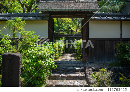 Photographing the dazzling new greenery of Shokado Park in Yawata, Kyoto Prefecture 113763425