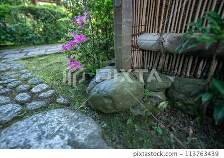 拍攝京都府八幡市松花堂公園的耀眼新綠 拍攝京都府八幡市松花堂公園的耀眼新綠 113763439
