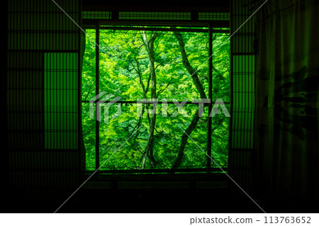 Photographing the dazzling greenery of Arashiyama Yusaitei in early summer in Ukyo Ward, Kyoto City Photographing the dazzling greenery of Arashiyama Yusaitei in early summer in Ukyo Ward, Kyoto City 113763652