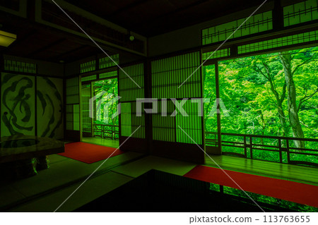 Photographing the dazzling greenery of Arashiyama Yusaitei in early summer in Ukyo Ward, Kyoto City 113763655