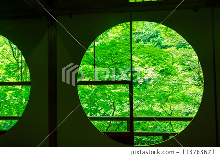 Photographing the dazzling greenery of Arashiyama Yusaitei in early summer in Ukyo Ward, Kyoto City Photographing the dazzling greenery of Arashiyama Yusaitei in early summer in Ukyo Ward, Kyoto City 113763671