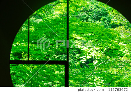 Photographing the dazzling greenery of Arashiyama Yusaitei in early summer in Ukyo Ward, Kyoto City 113763672