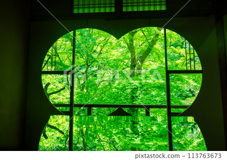 Photographing the dazzling greenery of Arashiyama Yusaitei in early summer in Ukyo Ward, Kyoto City 113763673