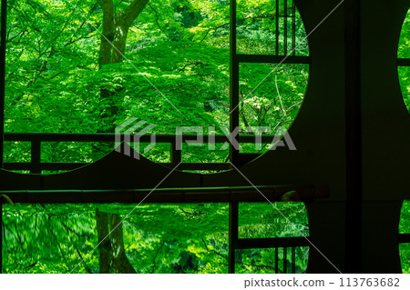 Photographing the dazzling greenery of Arashiyama Yusaitei in early summer in Ukyo Ward, Kyoto City Photographing the dazzling greenery of Arashiyama Yusaitei in early summer in Ukyo Ward, Kyoto City 113763682