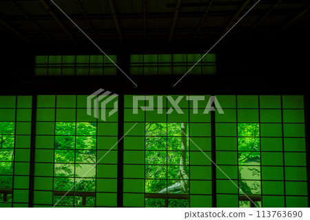 在京都市右京區初夏的耀眼景色中拍攝嵐山遊彩亭的新綠 在京都市右京區初夏的耀眼景色中拍攝嵐山遊彩亭的新綠 113763690