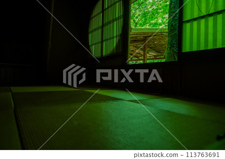 在京都市右京區初夏的耀眼景色中拍攝嵐山遊彩亭的新綠 113763691