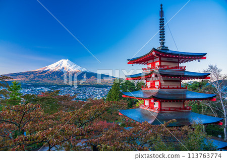 《山梨縣》新倉山淺間公園的櫻花中沐浴旭 113763774