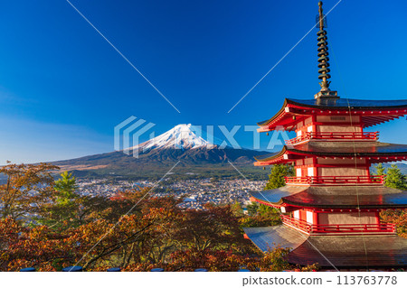《Yamanashi Prefecture》 Asahi baths the cherry blossoms of Niikurayama Sengen Park, Chureito Pagoda, Shinsetsu Fuji 《Yamanashi Prefecture》 Asahi baths the cherry blossoms of Niikurayama Sengen Park, Chureito Pagoda, Shinsetsu Fuji 113763778