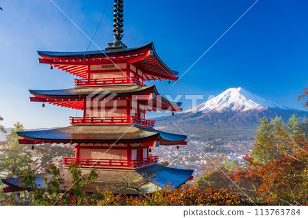 《山梨縣》新倉山淺間公園的櫻花中沐浴旭 《山梨縣》新倉山淺間公園的櫻花中沐浴旭 113763784