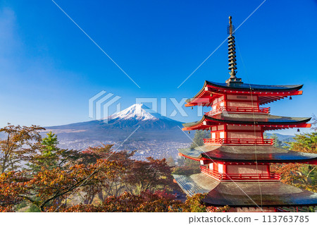 《Yamanashi Prefecture》 Asahi baths the cherry blossoms of Niikurayama Sengen Park, Chureito Pagoda, Shinsetsu Fuji 113763785