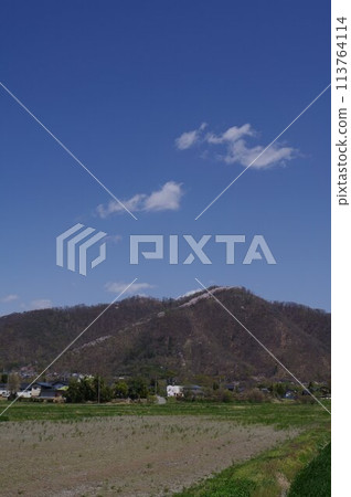 信州安曇野，著名的賞櫻勝地。 113764114