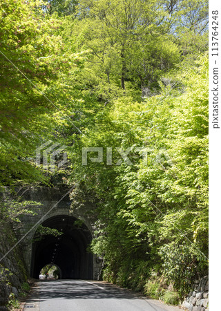 Kamakura 244 Sasuke Inari Shrine 4 113764248