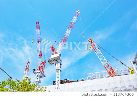 Construction crane 113764306