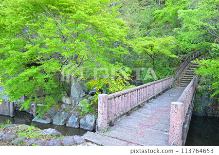 Historical site: Yamabuki-no-Sato Historical Park, waterfront, Ogose Town 113764653