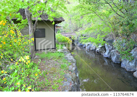 Historical site: Yamabuki-no-Sato Historical Park, waterfront, Ogose Town 113764674