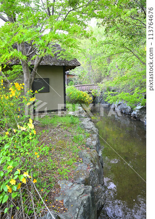 Historical site: Yamabuki-no-Sato Historical Park, waterfront, Ogose Town 113764676