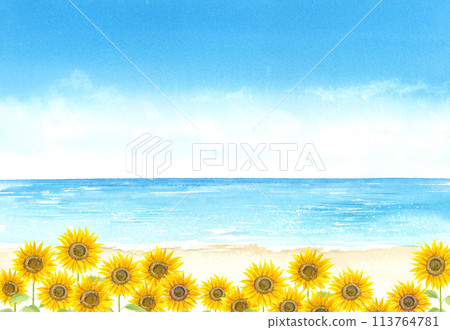Watercolor illustration of seaside sunflowers and sandy beach 113764781
