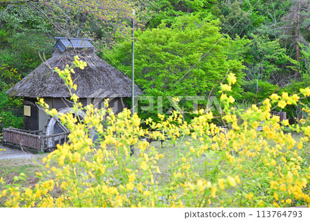 Historic Site: Yamabuki-no-Sato Historical Park Watermill, Ogose Town 113764793
