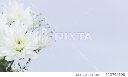 白菊花哀悼明信片 113764898